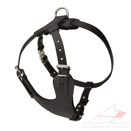 large dog harnesses