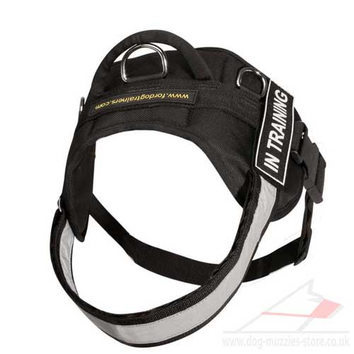 reflective dog harness