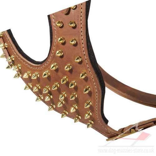 royal dog harness for large dog