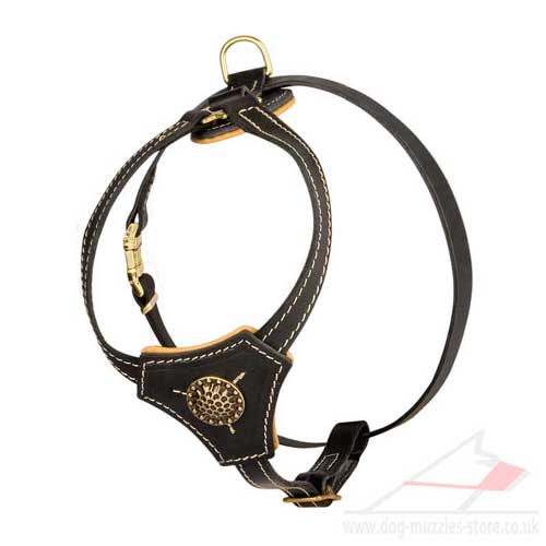 French Bulldog harness size