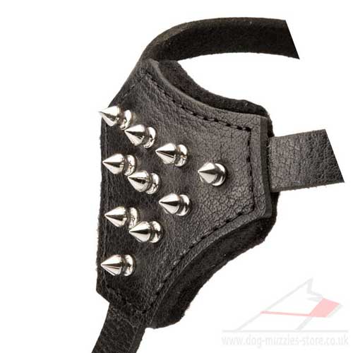 spiked dog harness