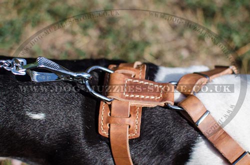 French Bulldog harness