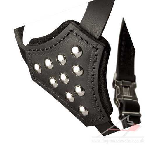 padded dog harness