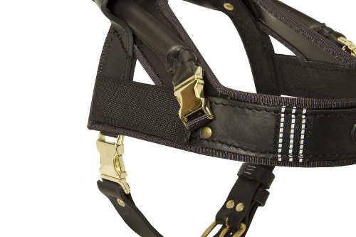 nylon dog harness