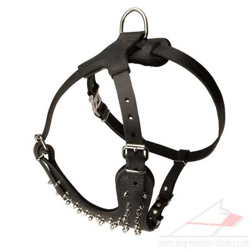 padded dog harness for large dog