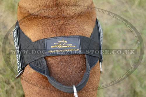 Anti Pulling Dog Harness