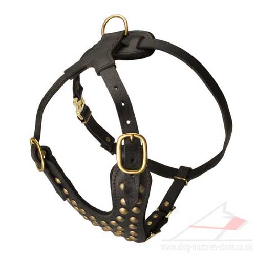 studded dog harness for large dog