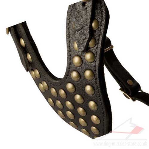 studded dog harness for large dog