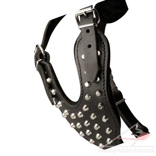 dogue de bordeaux harness for large dog