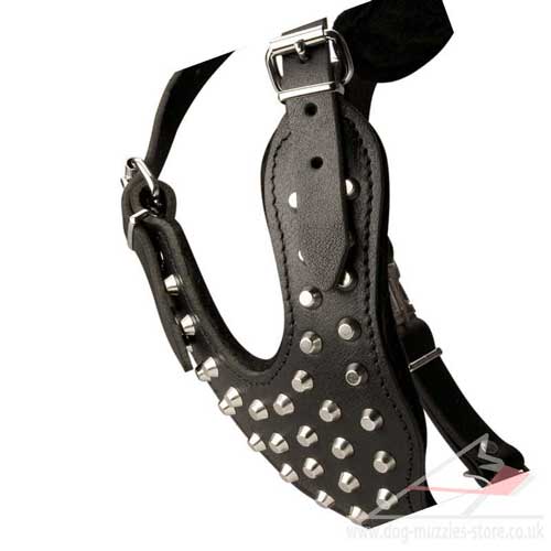 dog fashion harness for large dog