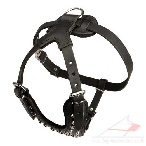 padded dog harness uk