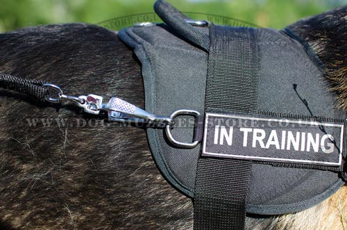reflective dog harness uk