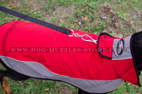 Doberman Dog Coats UK