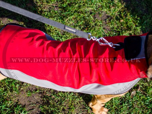 Warm Coat for Dog Walking in Winter