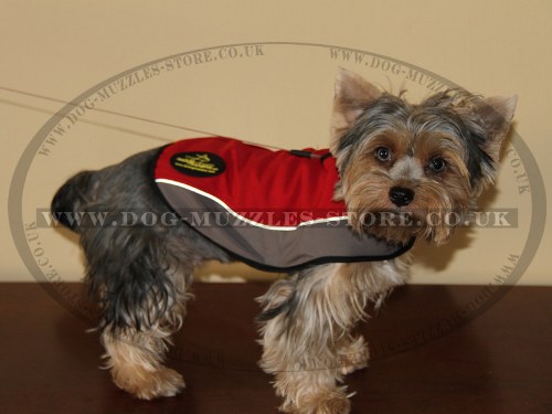 X Small Waterproof Dog Coats UK