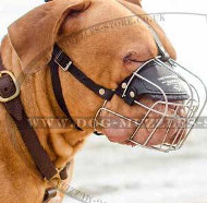 Dog Muzzle for Dogue De Bordeaux | Dogue De Bordeaux Muzzles UK
