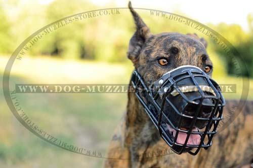 Universal wire basket muzzle