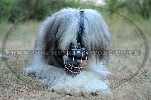 Basket Dog Muzzle