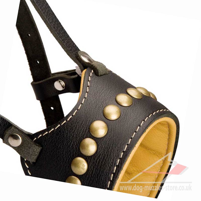 Best Leather Dog Muzzle with New Studded Design