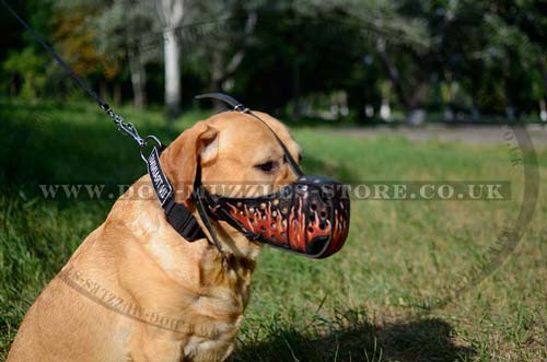 Police dog muzzle