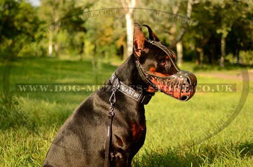 Doberman Dog Training Muzzle