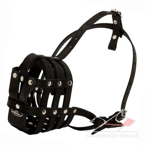 Soft Muzzle for Large Dogs
