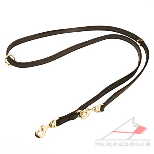 Dog Lead