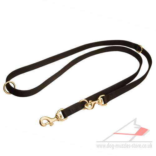 Walking Dog Lead Nylon