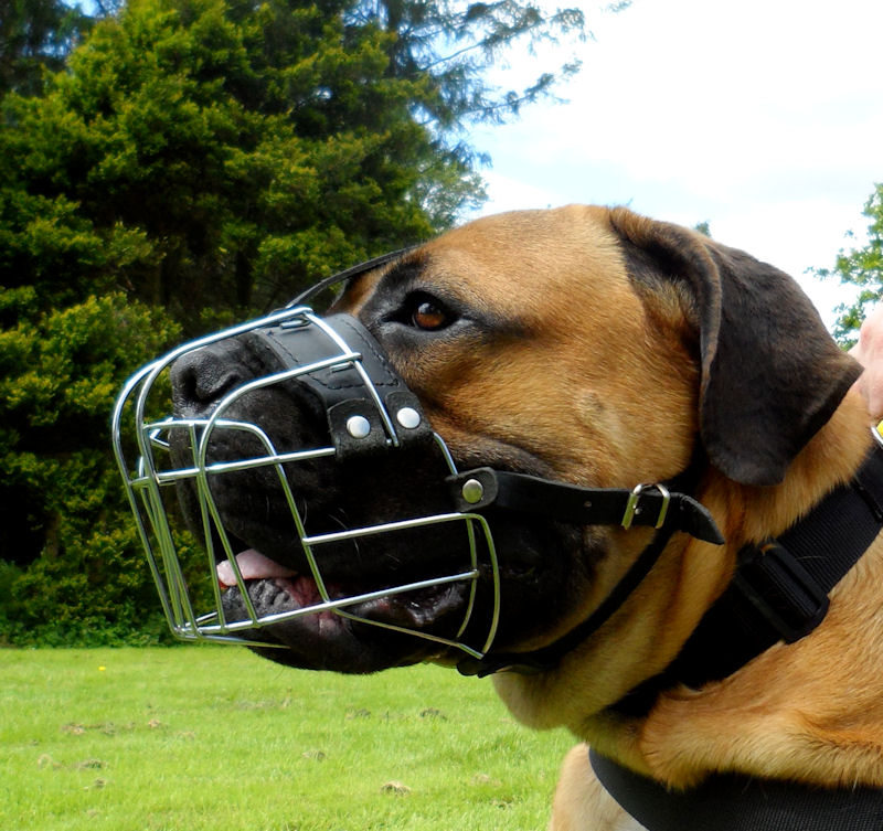 dog muzzles for sale