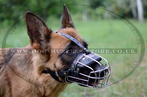 wire basket dog muzzle