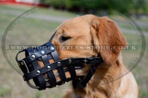 Leather Dog Muzzle for Golden Retriever