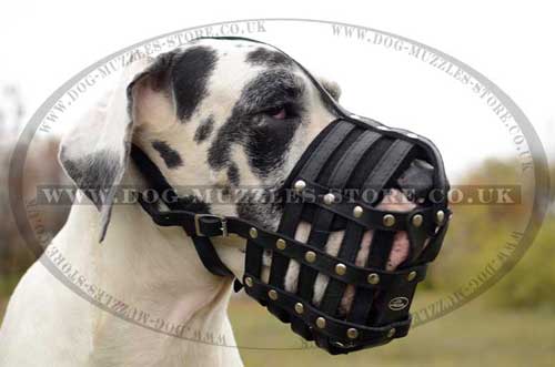Large Leather Dog Muzzle