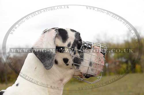 Wire Dog Muzzle for Great Dane Dog Size