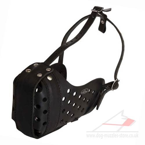 Leather Basket Dog Muzzle