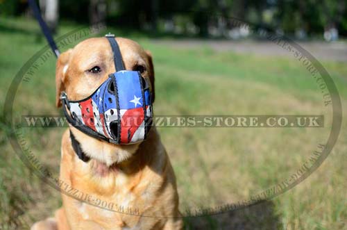 Attack/Agitation dog muzzle