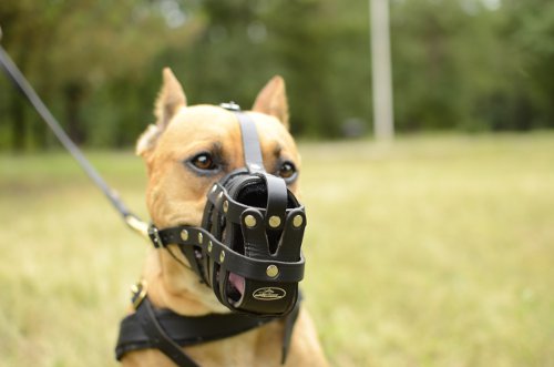 Leather Dog Muzzle Basket