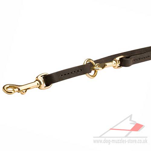 Leather Dog Lead