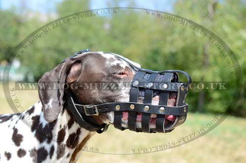 Leather Dog Muzzle