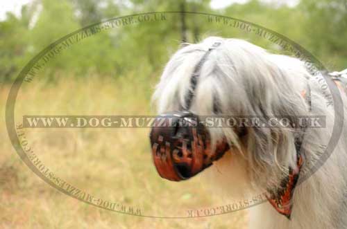 leather muzzles for dogs