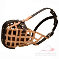 Comfortable Training Leather Dog Muzzle