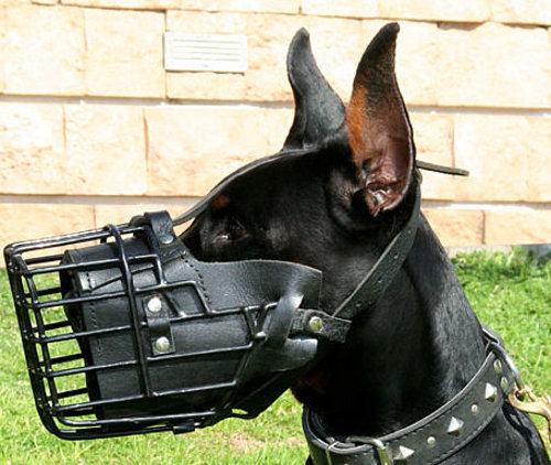 muzzles for dogs