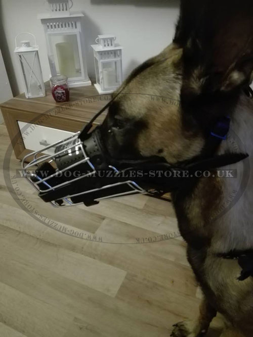 Long Nose Dog Muzzle for Biting