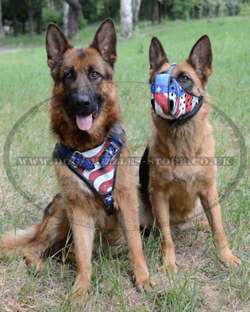 German Shepherd leather dog muzzle