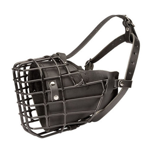 Leather Padded Dog Muzzle Basket Type