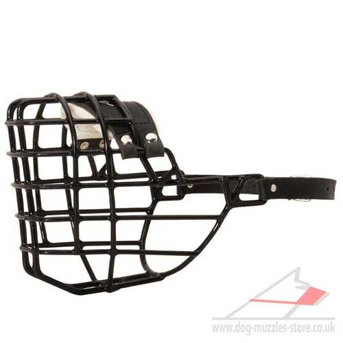 Dog basket muzzle