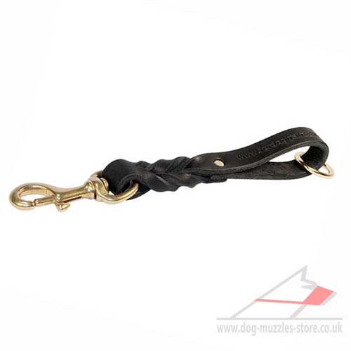 Bulldog leash