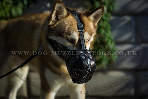 K9 Husky Muzzle for Dog Training
