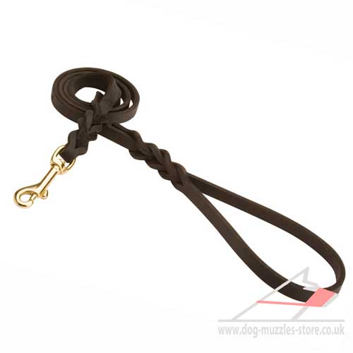 Braided Leather Dog Lead with Handle