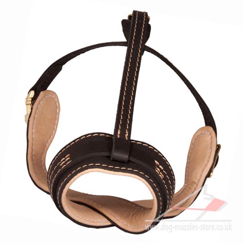 Leather Dog Muzzle Loop