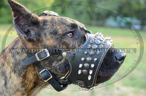 Designer Spiked Leather Dog Muzzle